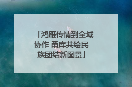 鸿雁传情到全域协作 甬库共绘民族团结新图景
