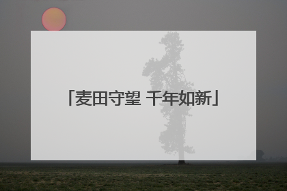 麦田守望 千年如新