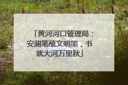 黄河河口管理局：安澜笔蘸文明墨，书就大河万里秋