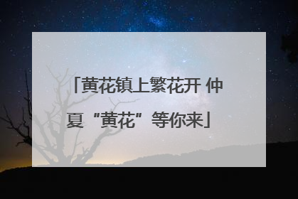 黄花镇上繁花开 仲夏“黄花”等你来