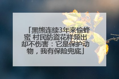 黑熊连续3年来偷蜂蜜 村民防盗花样频出却不伤害：它是保护动物，我有保险兜底