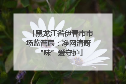 黑龙江省伊春市市场监管局：净网清厨 “味”爱守护