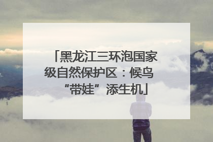 黑龙江三环泡国家级自然保护区：候鸟“带娃”添生机