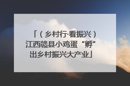 （乡村行·看振兴）江西赣县小鸡蛋“孵”出乡村振兴大产业
