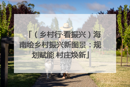 （乡村行·看振兴）海南绘乡村振兴新图景：规划赋能 村庄焕新