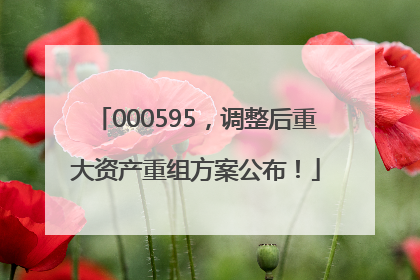 000595，调整后重大资产重组方案公布！