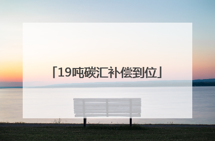 19吨碳汇补偿到位