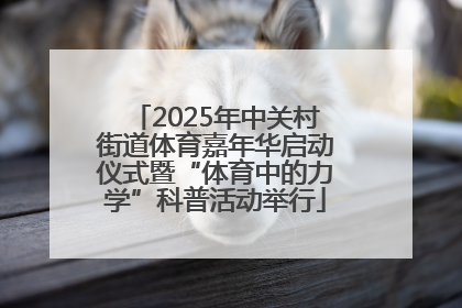 2025年中关村街道体育嘉年华启动仪式暨“体育中的力学”科普活动举行