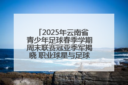2025年云南省青少年足球春季学期周末联赛冠亚季军揭晓 职业球星与足球小将共享荣耀时刻