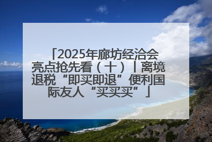 2025年廊坊经洽会亮点抢先看（十）丨离境退税“即买即退”便利国际友人“买买买”