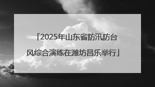 2025年山东省防汛防台风综合演练在潍坊昌乐举行