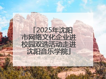 2025年沈阳市网络文化企业进校园双选活动走进沈阳音乐学院