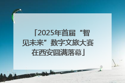 2025年首届“智见未来”数字文旅大赛在西安圆满落幕