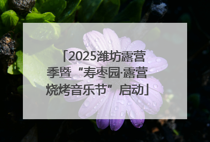 2025潍坊露营季暨“寿枣园·露营烧烤音乐节”启动