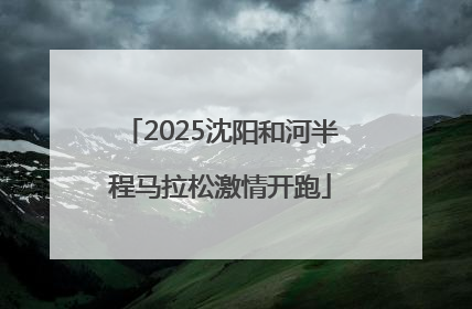 2025沈阳和河半程马拉松激情开跑