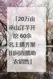 20万亩巫山洋芋开挖 60余名主播齐聚田间直播助农销售