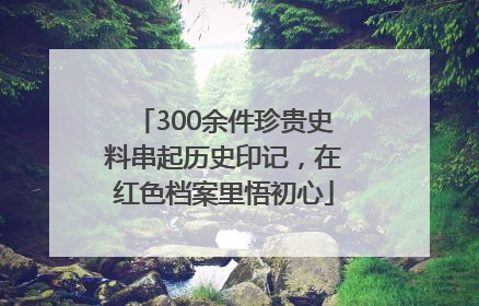 300余件珍贵史料串起历史印记，在红色档案里悟初心