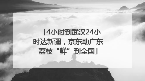 4小时到武汉24小时达新疆，京东助广东荔枝“鲜”到全国