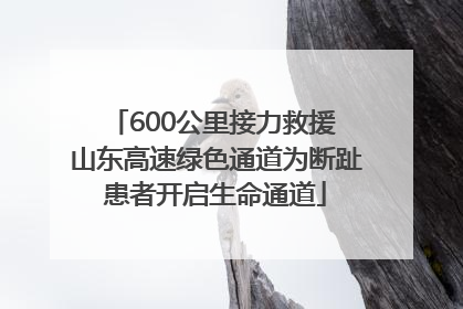 600公里接力救援 山东高速绿色通道为断趾患者开启生命通道