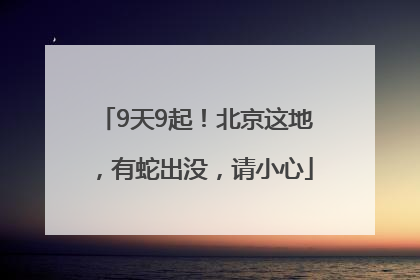 9天9起！北京这地，有蛇出没，请小心