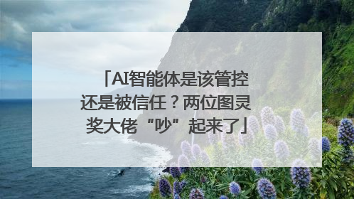 AI智能体是该管控还是被信任？两位图灵奖大佬“吵”起来了