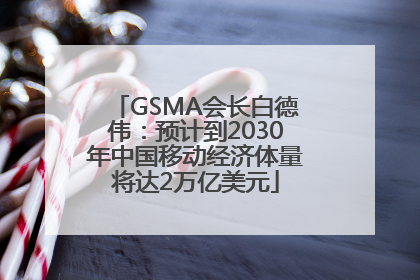 GSMA会长白德伟：预计到2030年中国移动经济体量将达2万亿美元