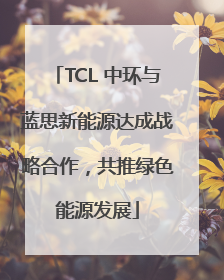 TCL 中环与蓝思新能源达成战略合作，共推绿色能源发展